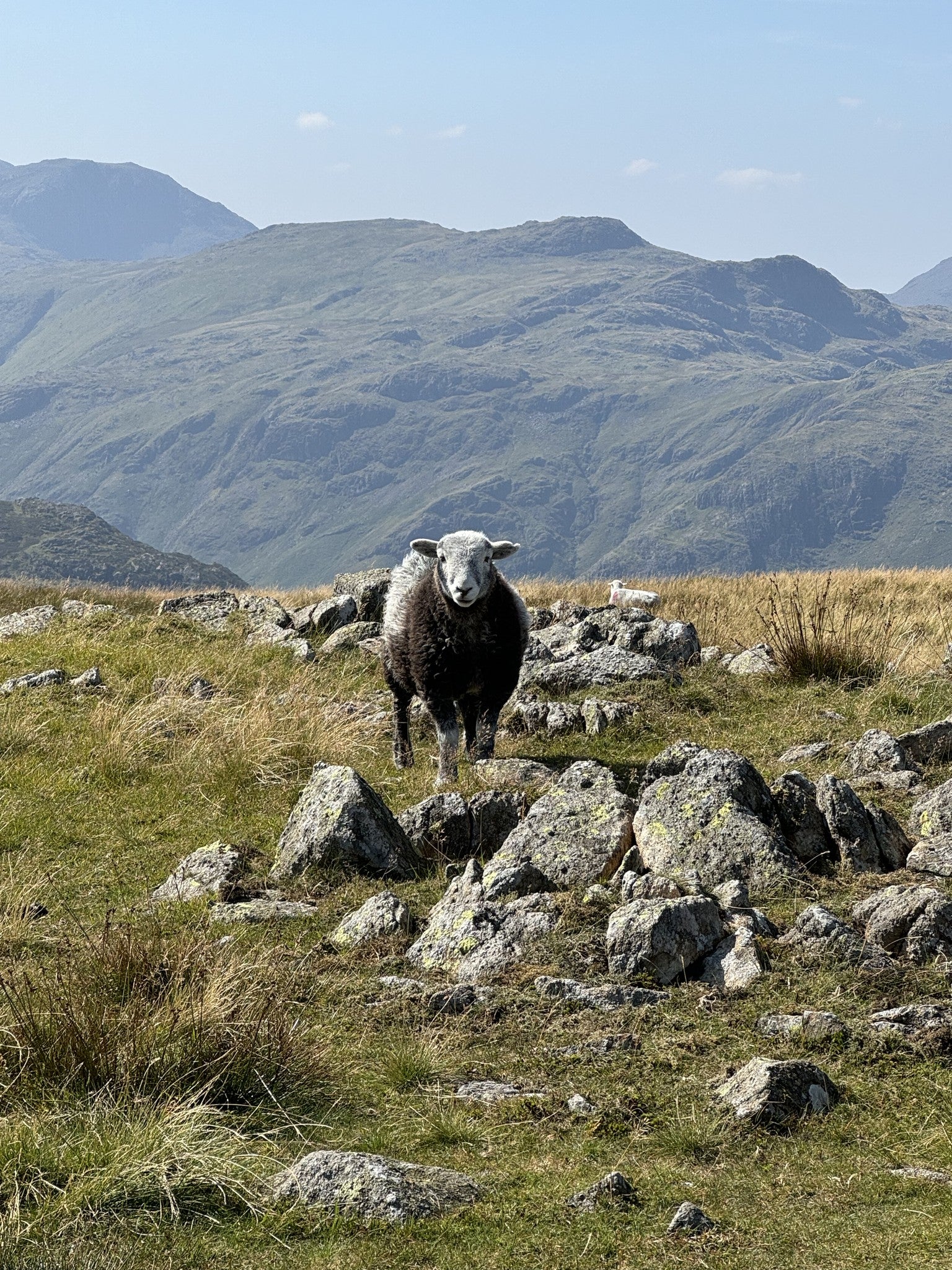 The route between High Saddle and Ullscarf — the first Wainwright walk